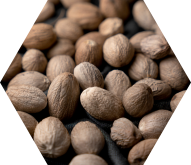 Nutmeg