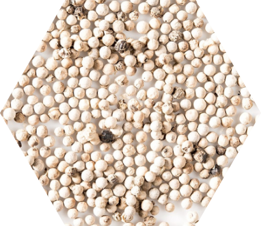 White Pepper