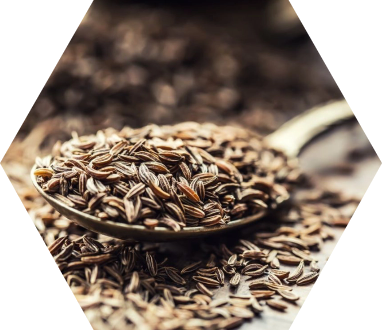 Caraway Seeds