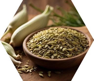 Cumin & Fennel