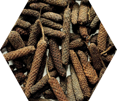 Long Pepper