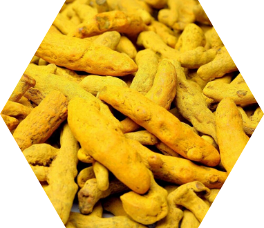 Turmeric